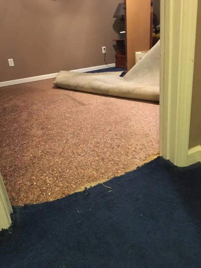 Carpet pad removal revealing water damage during Drying & Dehumidification in Northfield